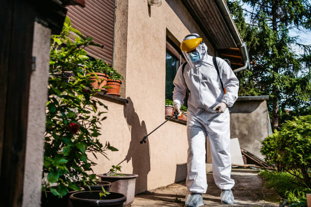 Best Bird Control  in Rahway, NJ