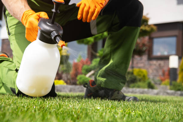 Pest Control Cost in Rahway, NJ