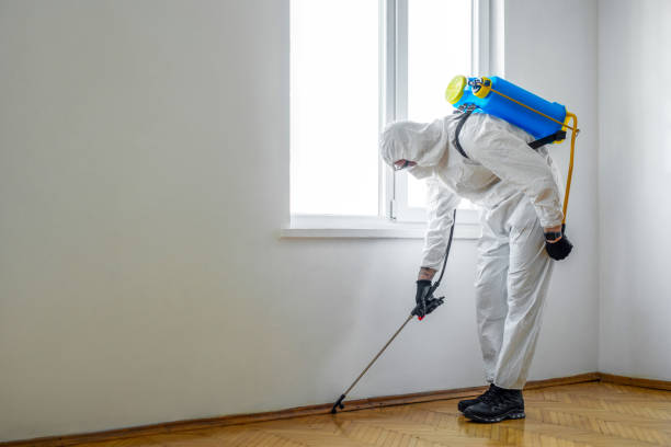 Best Exterminator Services  in Rahway, NJ
