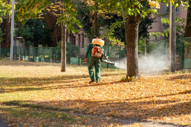 Best Flea Control Services  in Rahway, NJ
