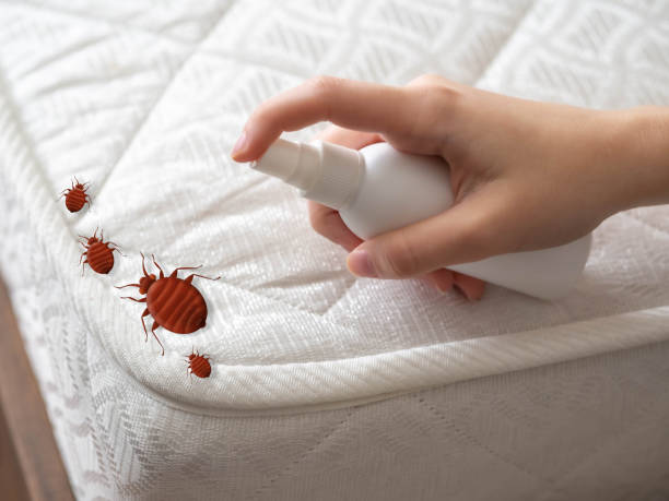 Rahway, NJ Pest Control Company