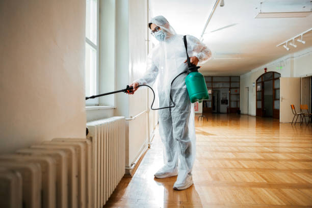 Best Wasp Removal Services  in Rahway, NJ