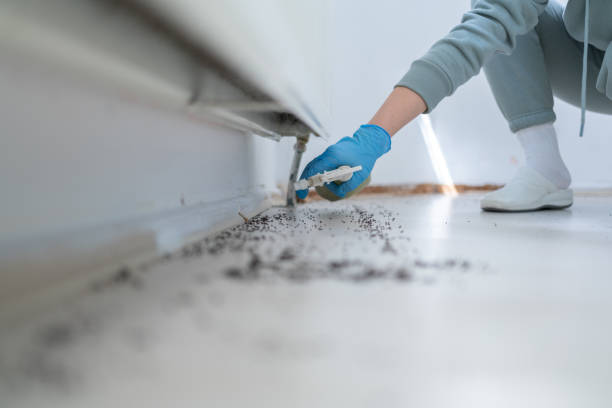 Best Exterminator Services  in Rahway, NJ